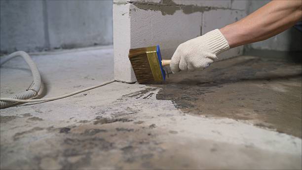 24/7 Emergency Crawl Space Encapsulation experts in Gaines, MI
